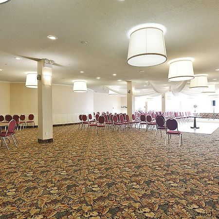 The Marigold Hotel Brampton Ngoại thất bức ảnh