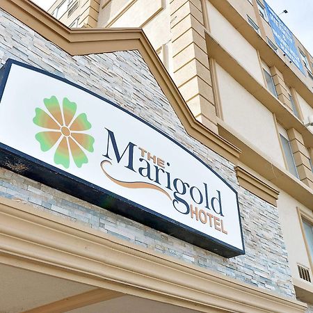 The Marigold Hotel Brampton Ngoại thất bức ảnh