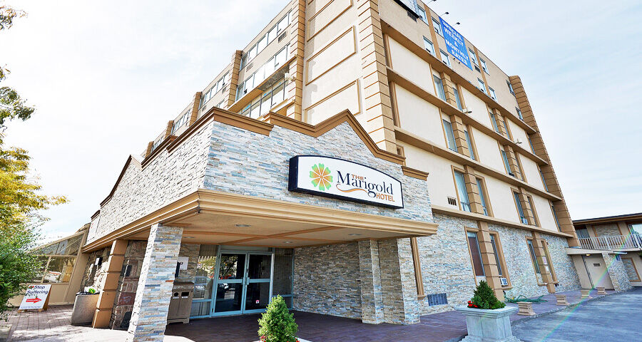 The Marigold Hotel Brampton Ngoại thất bức ảnh